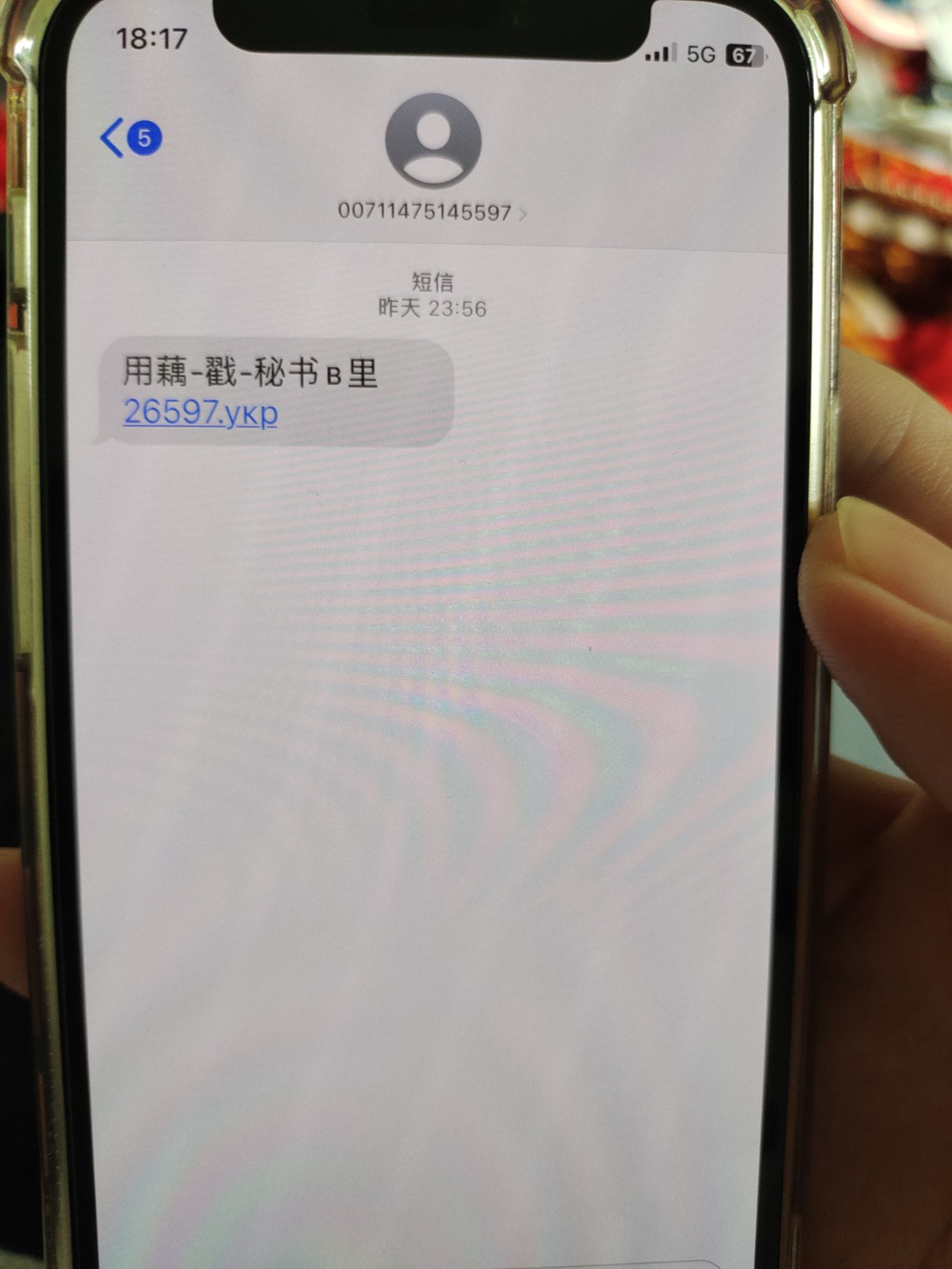 16876018595248155664195616281202.jpg