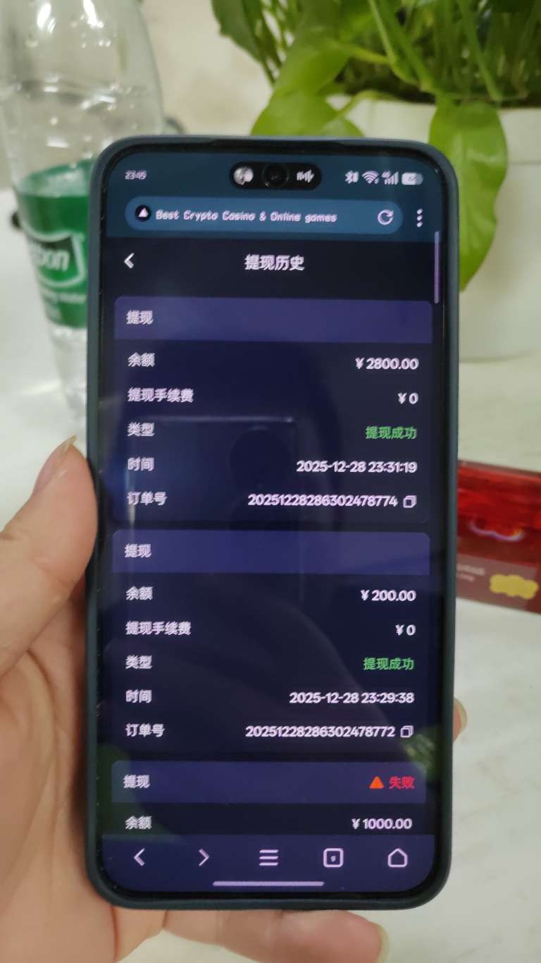 1766936768496.jpg